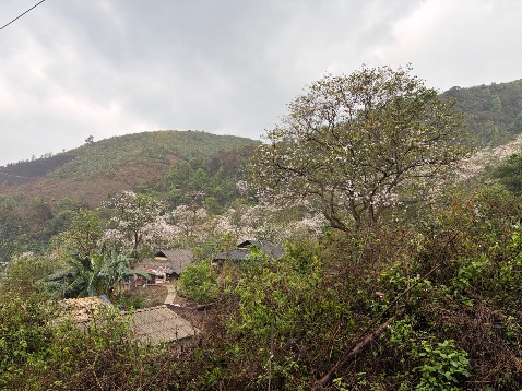 Chất lượng pin tốt