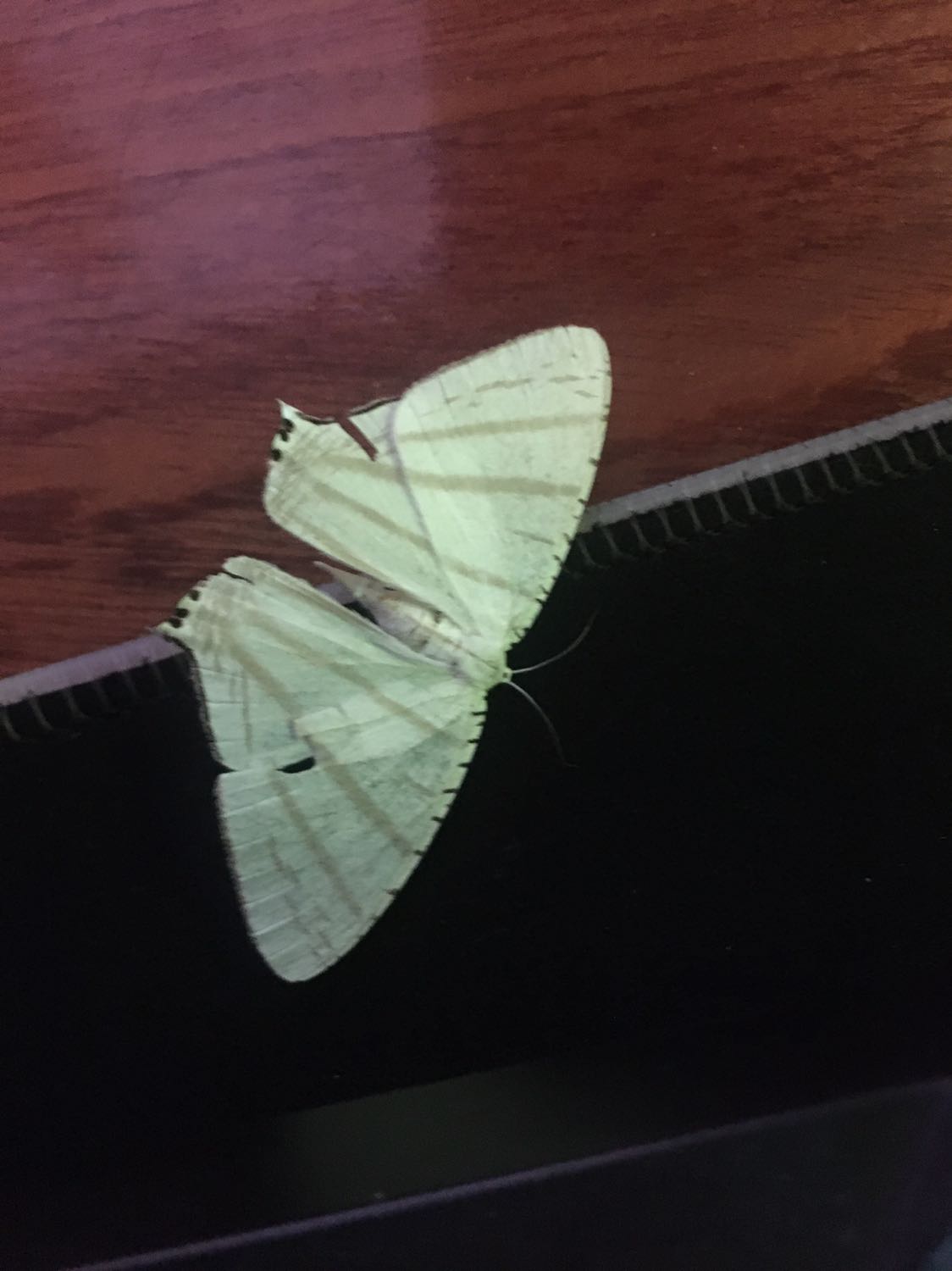 Chất lượng, rẻ