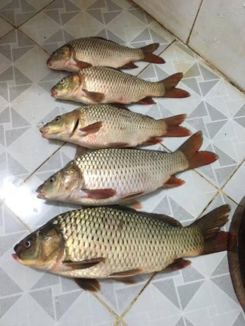 Shop đóng gói cẩn thận đẹp.... Hàng đẹp chất lượng.. mọi người nên mua