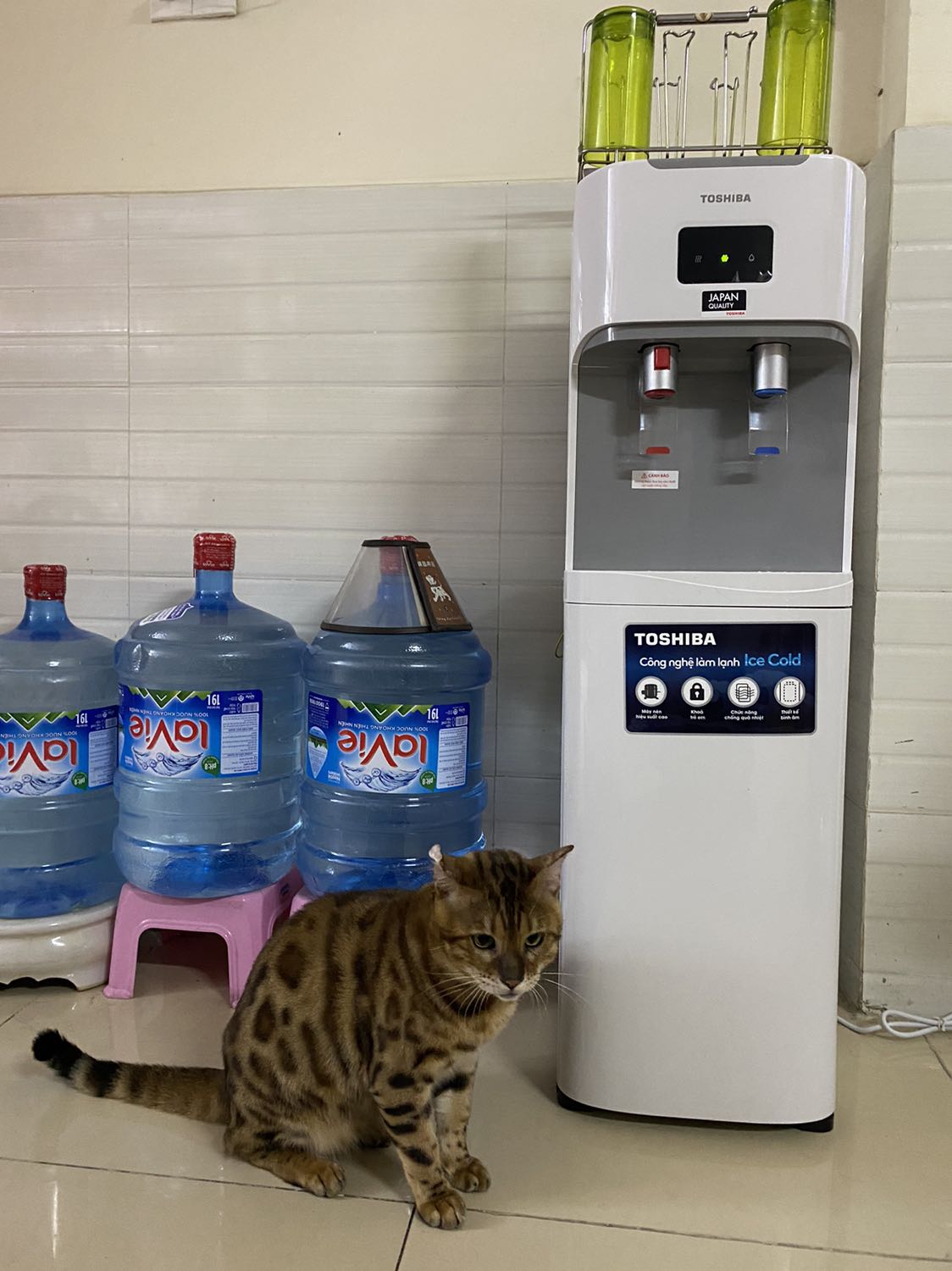 Máy nhỏ gọn, bình chứa nước để ngay bên trong ngăn chứa bên dưới.