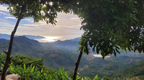 Hàng VN chất lượng cao, ngon lành cành đào. Ủng hộ Shop 👍