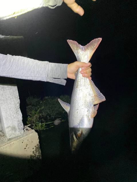 nói chung chất lượng ok