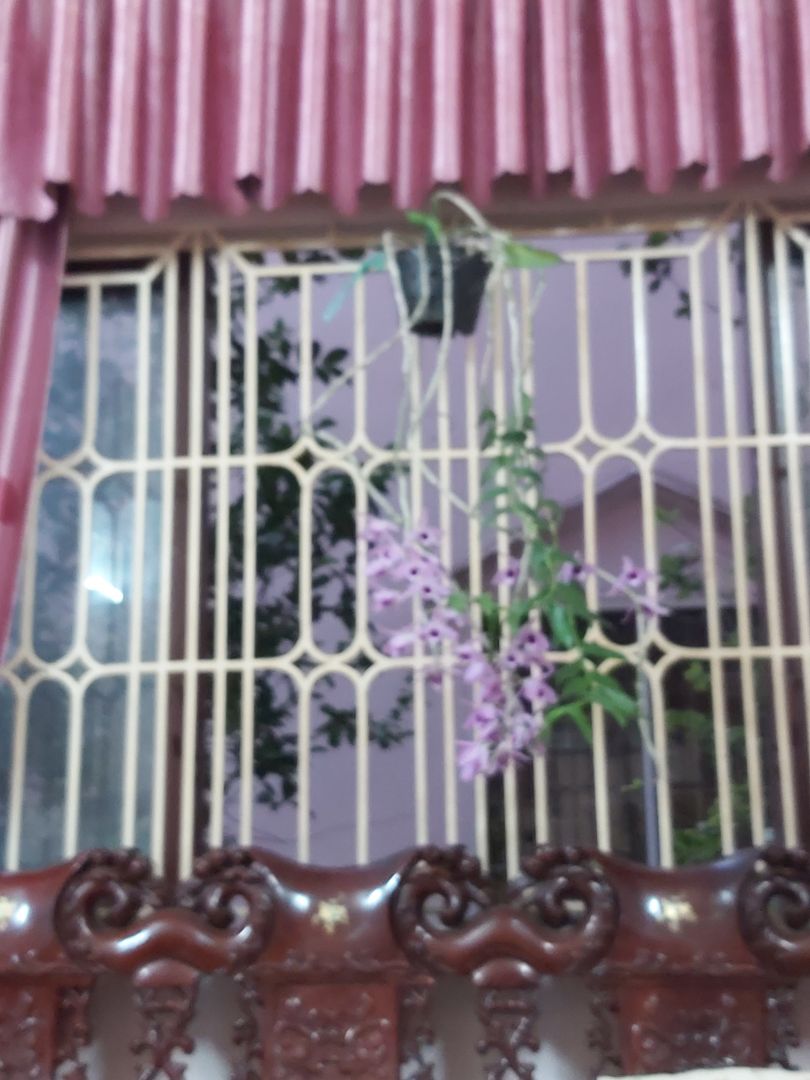 ok hàng chạy tốt. Thanks shop nhé!