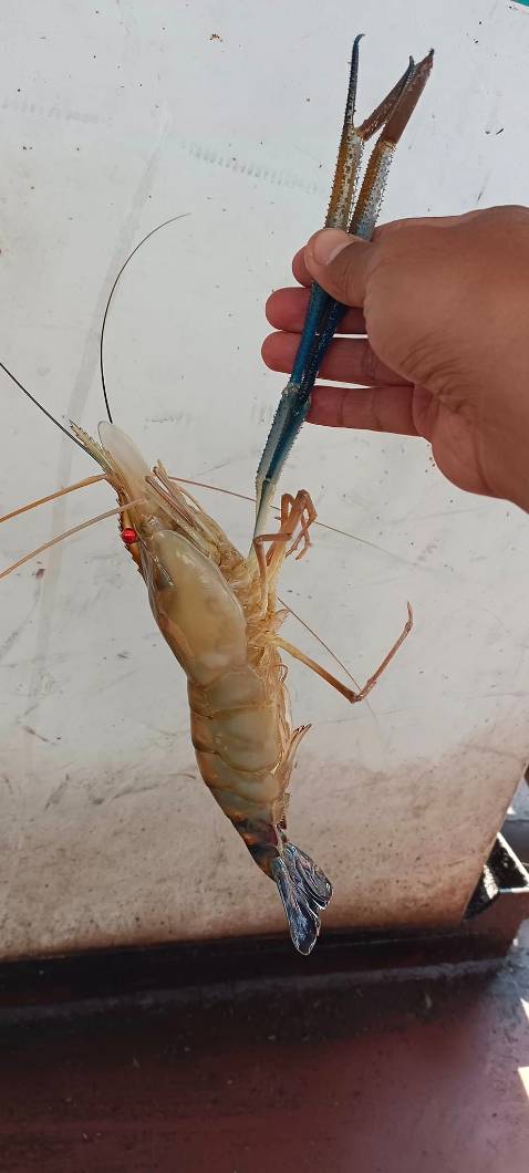 Tôi đã mua thêm 3 cây nữa của shop rồi.haha Đánh giá 5 sao