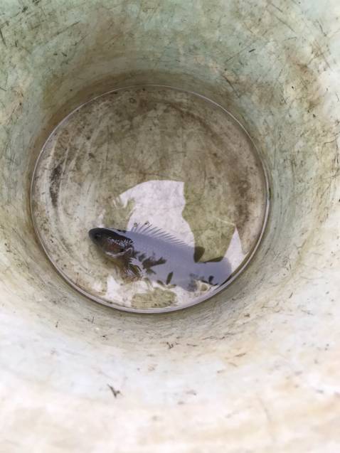 phụ kiện kèm theo rất đầy đủ rất đáng tiền, shop làm việc rất chuyên nghiệp