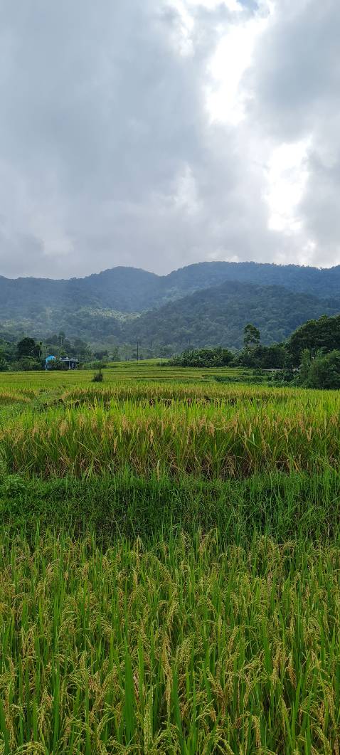 Vở tốt mỗi tội con không thích học chỉ thích đi chơi ngắm cảnh thế mới mệt