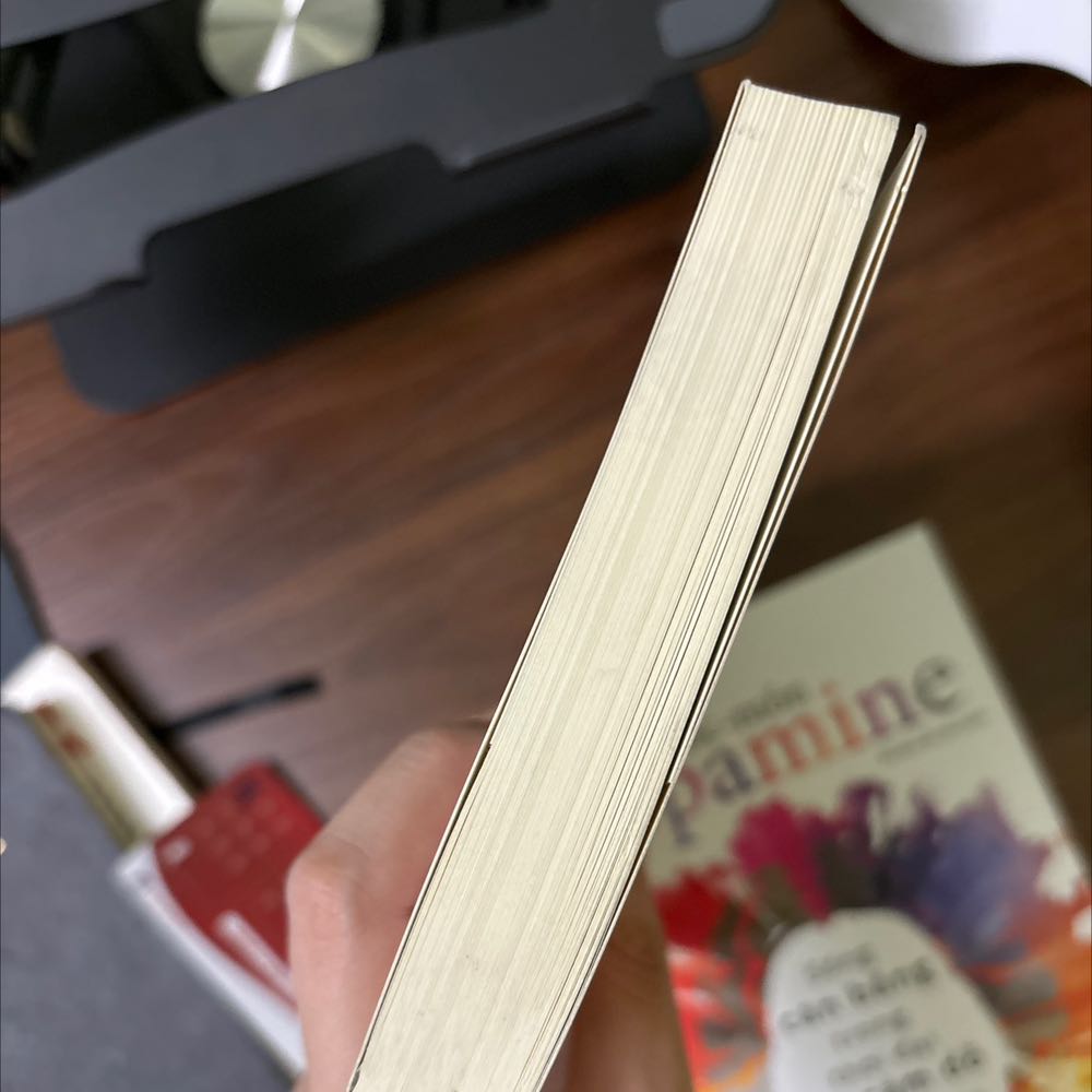 Sách cũ. Bìa sách bám bụi và bị hằn nhiều vết mờ. Sách giống như đã qua sử dụng