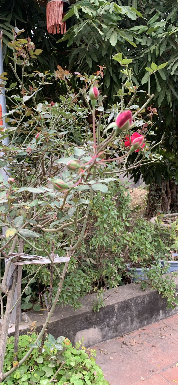 Sản phẩm phù hợp giá tiền