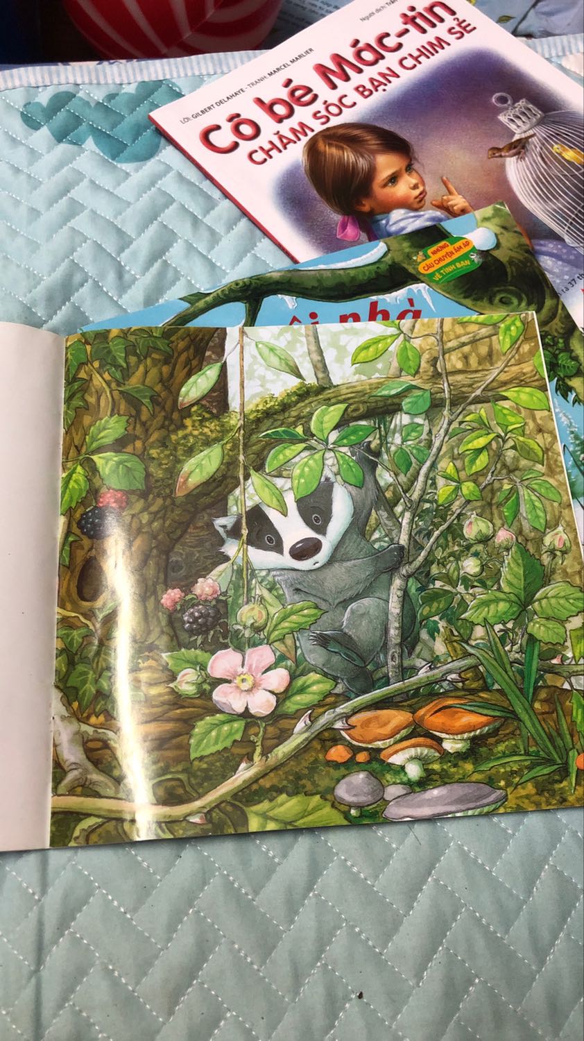 Vẽ đẹp sách hay