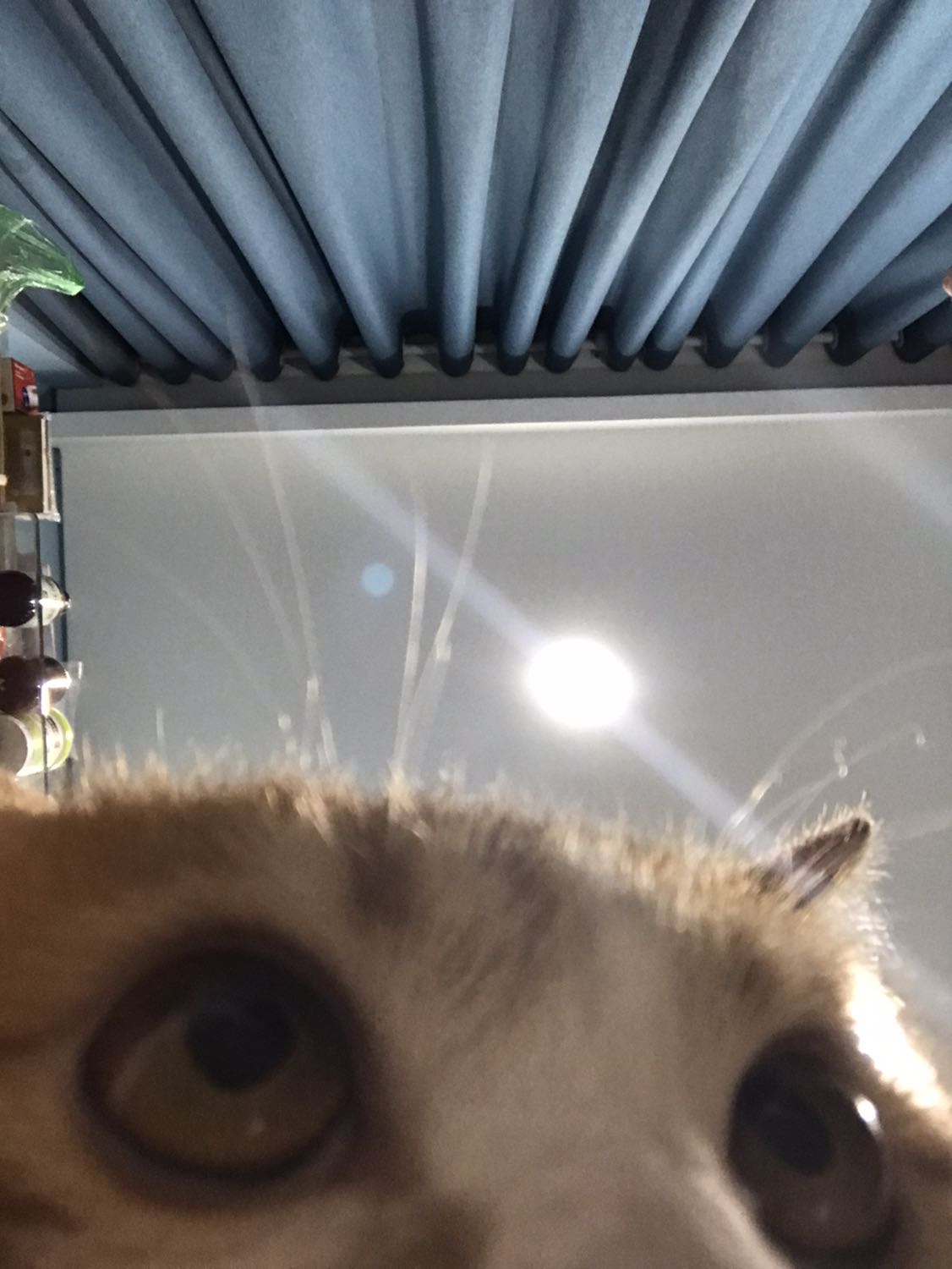 Hàng rất tốt , giá cũng hợp lí nữa . 
Thánk shop rất nhiều .
Có thêm các chương trình ưu đãi giá cho khách hàng nữa mọi ngừoi sẽ còn ủng hộ shop dài dài