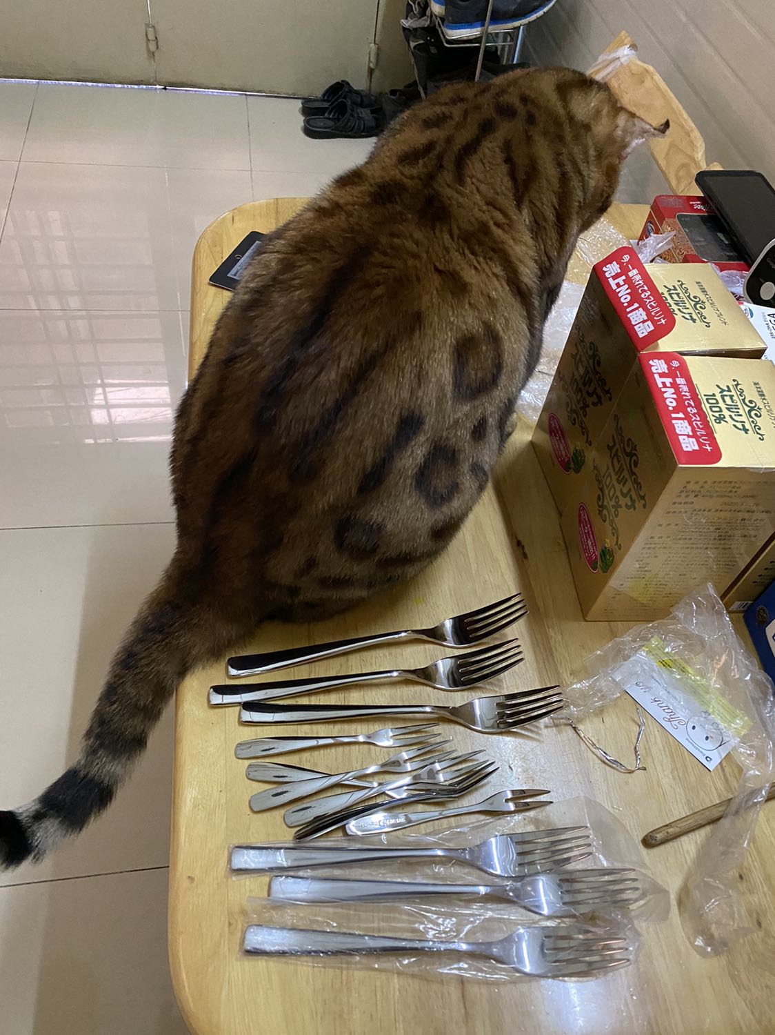 Hàng của Dandihome inox 304 sáng bóng lấp
lánh, xài lâu vẫn bóng đẹp, giá cao nhưng tương xứng với chất lượng.