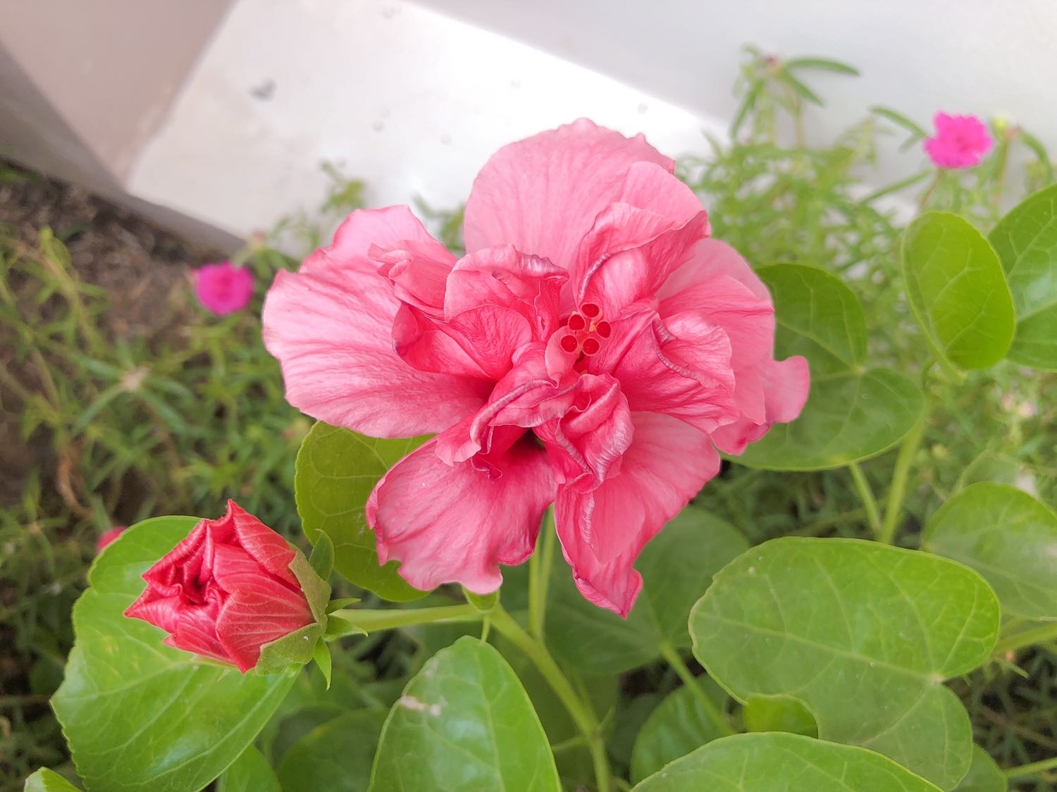 Hàng đẹp và shop bán uy tín! Hàng đẹp và shop bán uy tín!