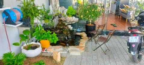 Nước cải thiện rất nhiều . 1 hộp sài khá lâu vì hồ mình cũng nhỏ ( 500 l nước ) Nước cải thiện rất nhiều . 1 hộp sài khá lâu vì hồ mình cũng nhỏ ( 500 l nước )