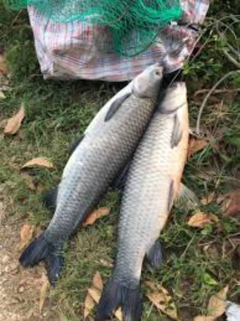 Đẹp nhà mpji ngueoif giá cũng rẻ nữa nên mua nha gdiwos Đẹp nhà mpji ngueoif giá cũng rẻ nữa nên mua nha gdiwos