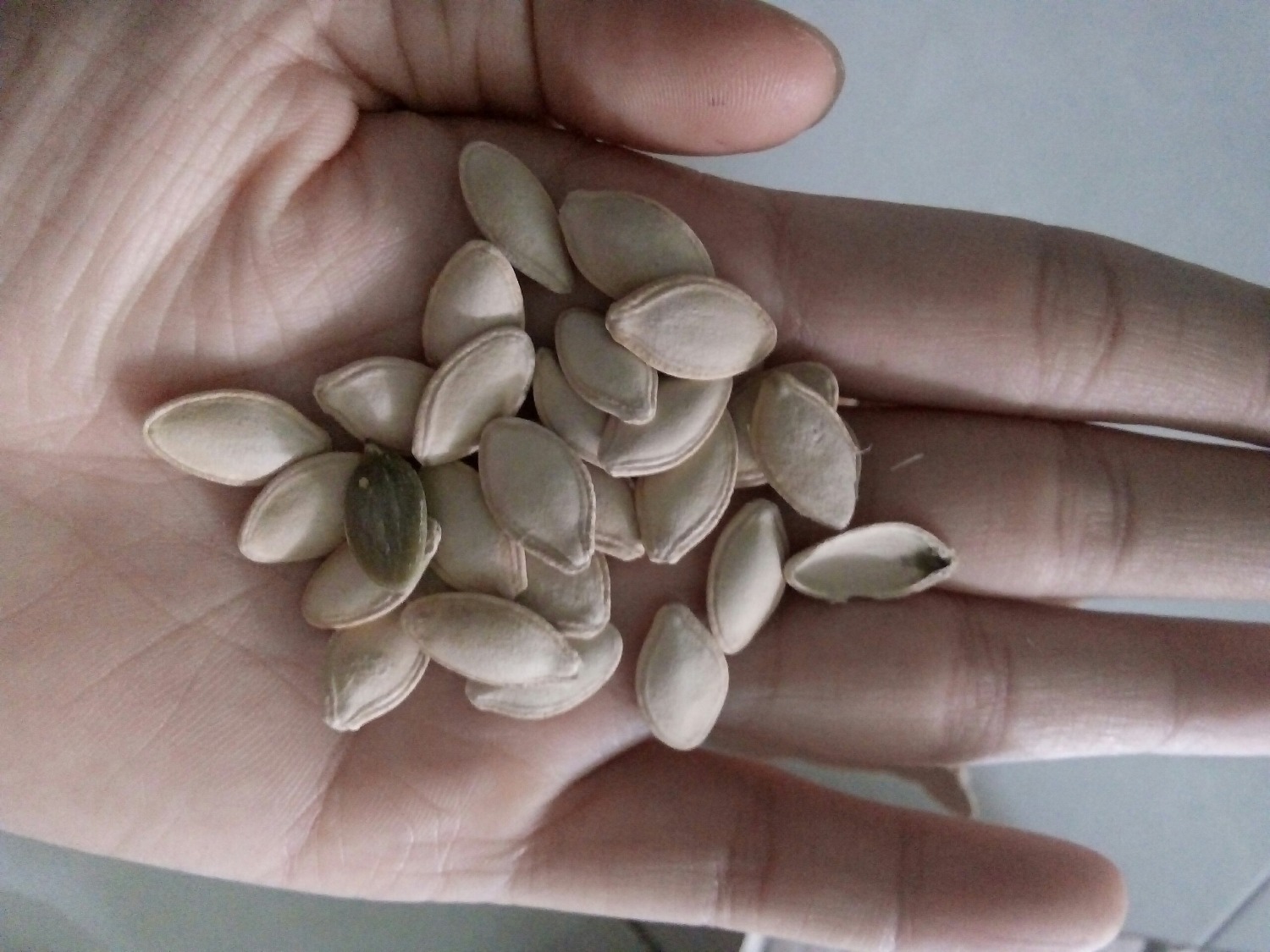 sp đóng gói chắc chắn, túi zip xịn xò và dễ sử dụng . Chất lượng thì miễn chê luôn, hạt mẩy , giòn , thơm và rất dễ cắn các bác ạ . Điểm trừ là ăn ngon quá nên hơi tốn  . Nhà e ăn nhanh quá. Mới mua của shop hôm bữa 1kg mà hết rồi. Nay lại mua thêm :D