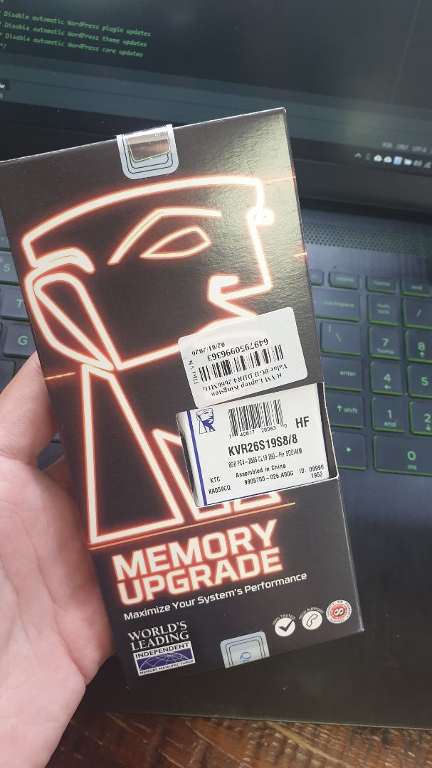 Từ ngày gắn thêm RAM máy hoàn toàn ko còn bị đơ nữa. Đầu tư cái này là đáng đồng tiền lắm đấy :)))