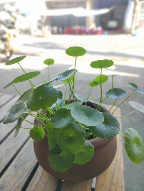 Bass siêu hay, loa nghe ấm, nột lực, mang theo du lịch hát ổn áp, 2 mic hat siêu hay, cả nhà mình rất thích sp này.