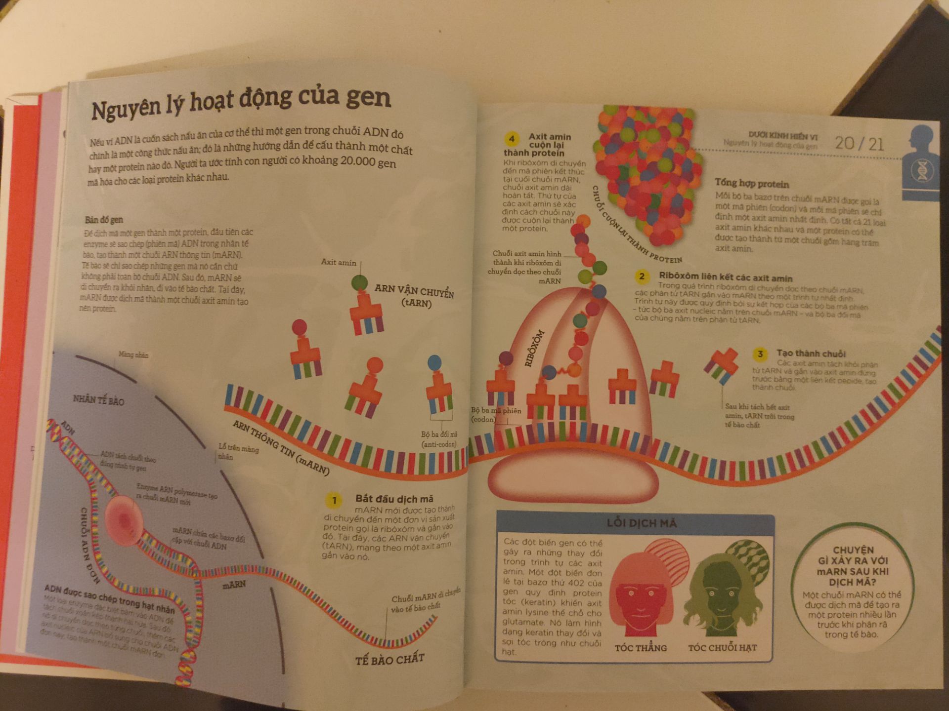 sách đẹp, bìa cứng, rất chắc chắn.  Hình minh họa đẹp, nội dung hữu ích, đặc biệt phù hợp với độc giả yêu thích môn Sinh học.
Tiki giao hàng nhanh, giá lại rẻ hơn mua ở các tiệm sách hay shop online khác.