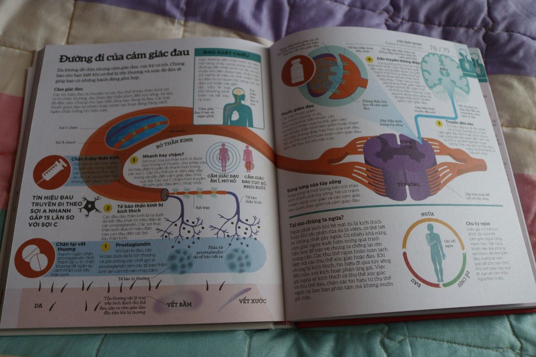 Thay vì cố gắng hiểu về người khác tôi lựa chọn đọc sách để hiểu hơn về bản thân mình. nhiều lúc cứ muốn biết bên trong mình nó ra làm sao, cấu tạo như thế nào? Tại sao khi cáu giận mình lại cau mày? Nguyên nhân nào gây ra sợ hãi? Khi sợ hãi tại sao phản ứng của chúng ta lại chạy trốn hoặc đấu tranh... Rất nhiều vấn đề cần quan tâm không có lời giải đáp hoặc nhiều năm chưa tìm được lời giải đáp. Kiến thức trên mạng quá tràn lan và mông lung nên việc tra cứu tài liệu cực kỳ mất thời gian, nguồn thông tin không có gì đảm bảo chính xác... Bỏ ít tiền ra mua cuốn sách dịp dịch này đúng là cứ phải đắn đo cân nhắc mãi. Nhưng cái gì có thể mua được bằng tiền thì hãy bỏ tiền ra mà mua. Đọc để hiểu về bản thân. Hiểu về bản thân rồi sẽ hiểu được người khác. Đầu tư tri thức phục vụ công việc kiếm tiền là chính thôi.

Tiki giao nhanh tới mức ngỡ ngàng. Như mọi lần mua, đặc biệt sách cung cấp từ Tiki Traiding chưa bao giờ khiến tôi hết hài lòng cả. Trong dịp dịch như này còn thấy Tiki bán hàng chuyên nghiệp hơn cả bình thường.

Cuốn sách rất tuyệt vời! Xin cảm ơn!