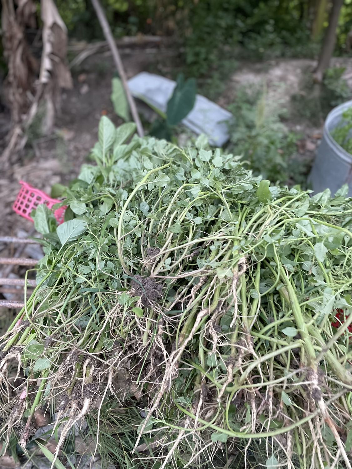 Cầm chắc tay, mực đẹp, hơi dễ lem