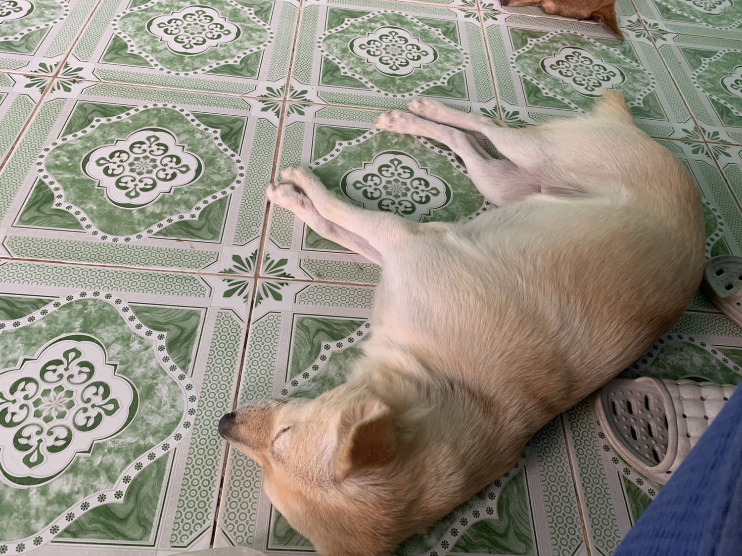 Giao hàng cực kì nhanh , Tiki phục vụ rất tốt . Mình rất hài lòng Tiki