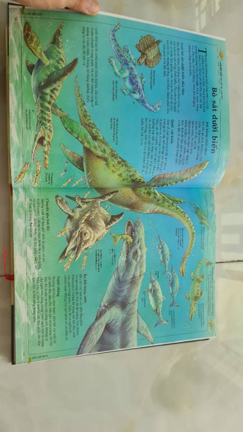 Nội dung hay , hình minh họa rất đẹp , cuốn hút . Mua ngay đợt sale nên giá khá tốt , rất nên mua nha