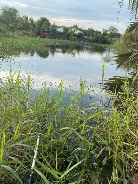 Giao hàng nhanh, đóng gói cẩn thận hàng đẹp chất lượng tốt