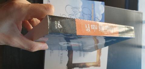 Tốt. In chất lượng. Đọc lâu rồi mua để sưu tầm nên ko chắc về bản dịch này có lỗi dịch thuật không