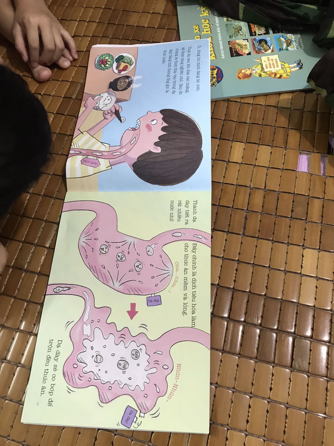 Câu truyện rata hay, ý nghĩa và lại còn hấp dẫn trẻ con Câu truyện rata hay, ý nghĩa và lại còn hấp dẫn trẻ con