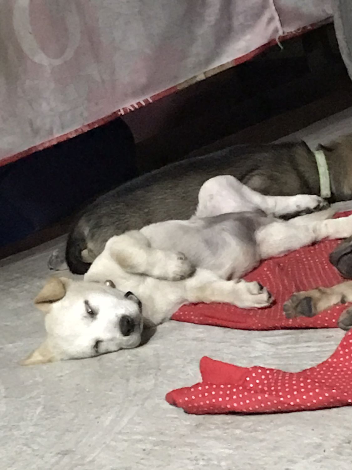 Đẹp màu xinh Đẹp màu xinh