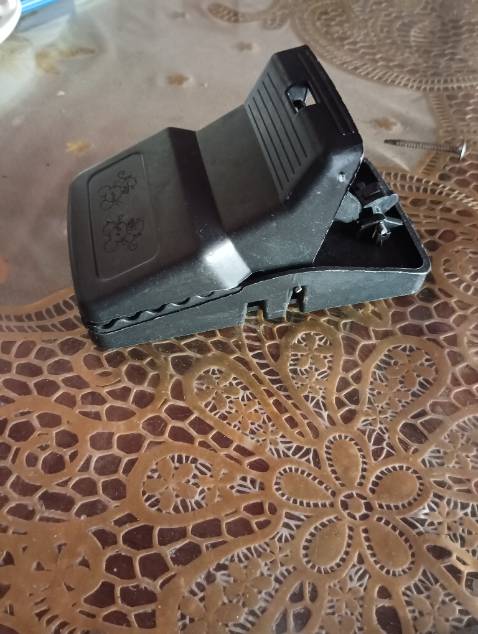 Bẫy chuột khi sập lại không giữ được chuột