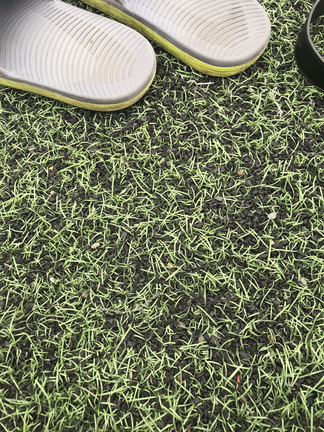 Rất xinh đẹp tuyệt vời nha, sách đc bọc cẩn thận, không có vấn đề gì nha.