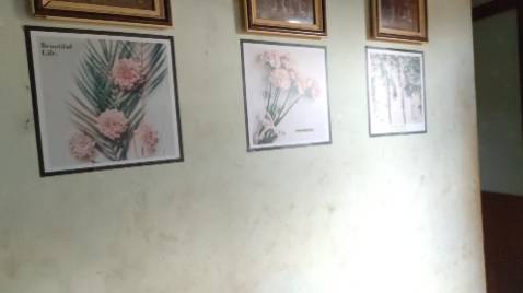 Mình mua mấy bộ tranh của shop này luôn, mới dán được 2 bộ à, rất hài lòng luôn, nhà sang hơn hẳn nha