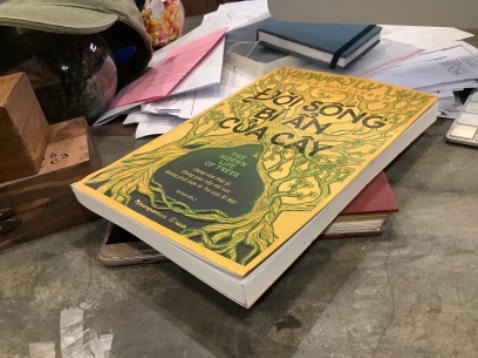 ĐÓNG GÓI RẤT KỸ NHƯNG GIAO MỘT CUỐN SÁCH THẬT CŨ, VÀ BỊ RÁCH GÓC. ( có dán băng keo lại )@@