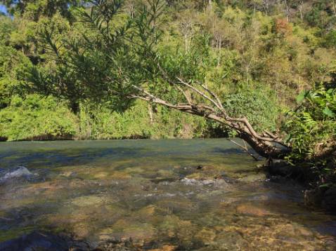 Loa chất, âm thanh hay ko tưởng, micro hát siêu hay, chỉnh nhiều chế độ, nói chung rất hài lòng, mang theo đi chơi gọn nhẹ, giá trung bình, hàng chất lượng, cho shop 10 sao