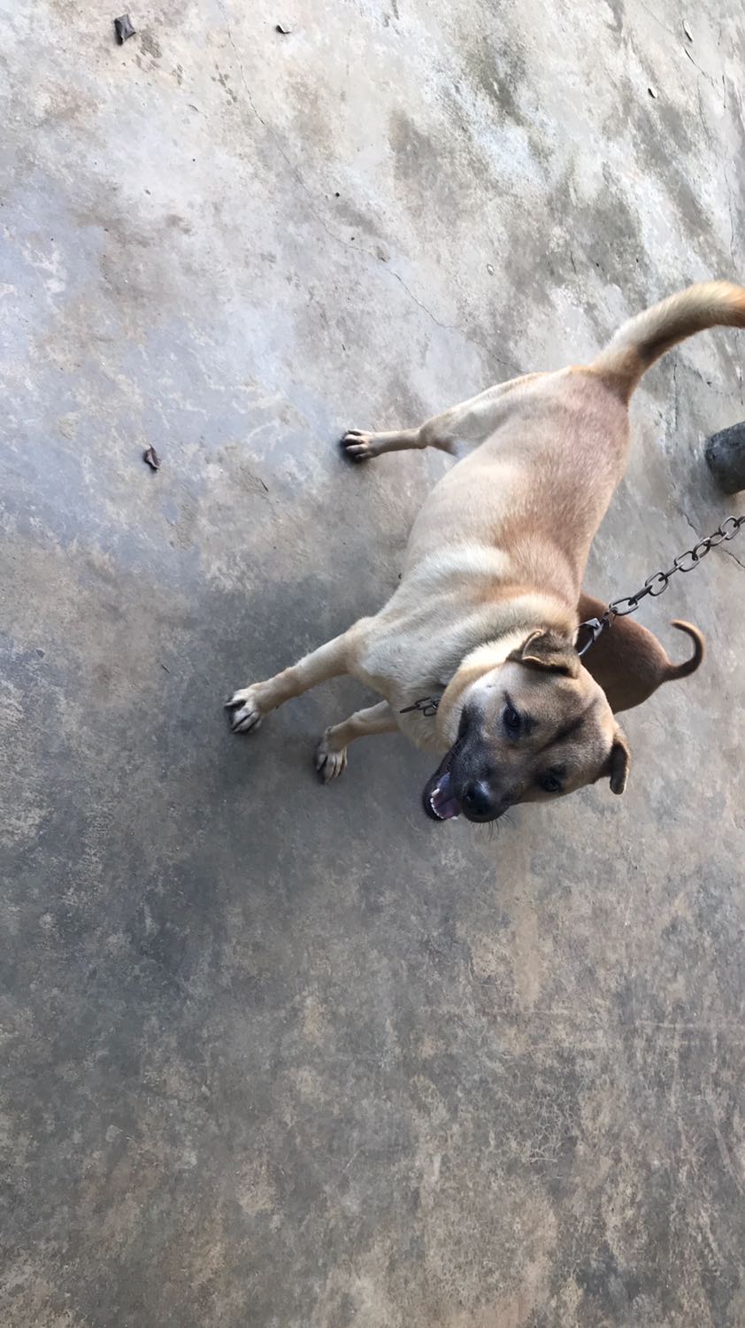 Bọc hơi sơ sài nhưng không bị móp, giao hàng nhanh, sách tốt. Cho shop 5 sao nhé