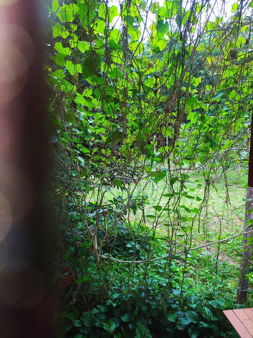 ảnh mang tính chất minh họa. Sản phẩm đẹp, chắc chắn, giao nhanh, dễ lắm ráp lắm. máy giặt khi vắt quay mạnh vẫn k bị trượt đế. tóm lại rất ưng 👍