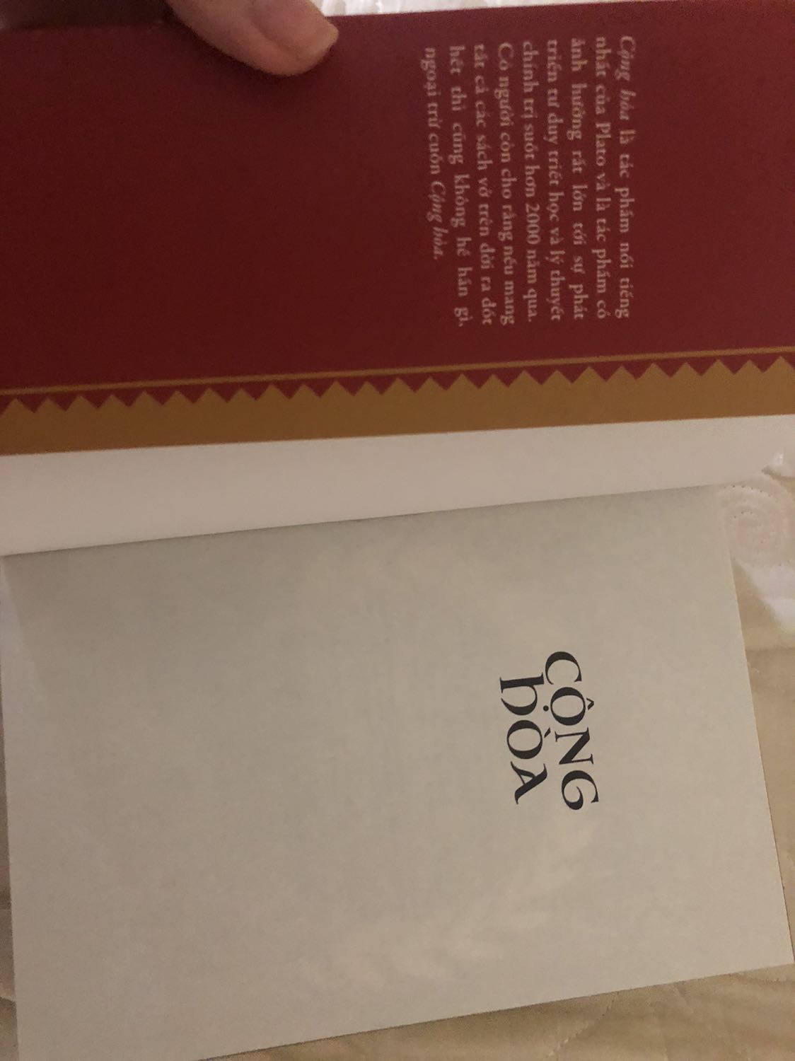 Nhận được hàng đúng như dự tính thời gian ship. Mình có đọc mấy chương đầu rồi, cảm thấy bản dịch này còn cần sửa nữa. Editor vs bên dịch phải làm việc thêm khiến bản dịch mềm mại và “thuần hoá” hơn, sửa lỗi dấu câu, chính tả, và từ ngữ sử dụng trong sách, nhiều khi cảm thấy các từ dịch rất hoa lá không cần thiết. Câu từ và dấu câu vẫn để theo phong cách tiếng nước ngoài rất nhiều. Cấu trúc câu không thuần với logic viết câu của tiếng Việt.