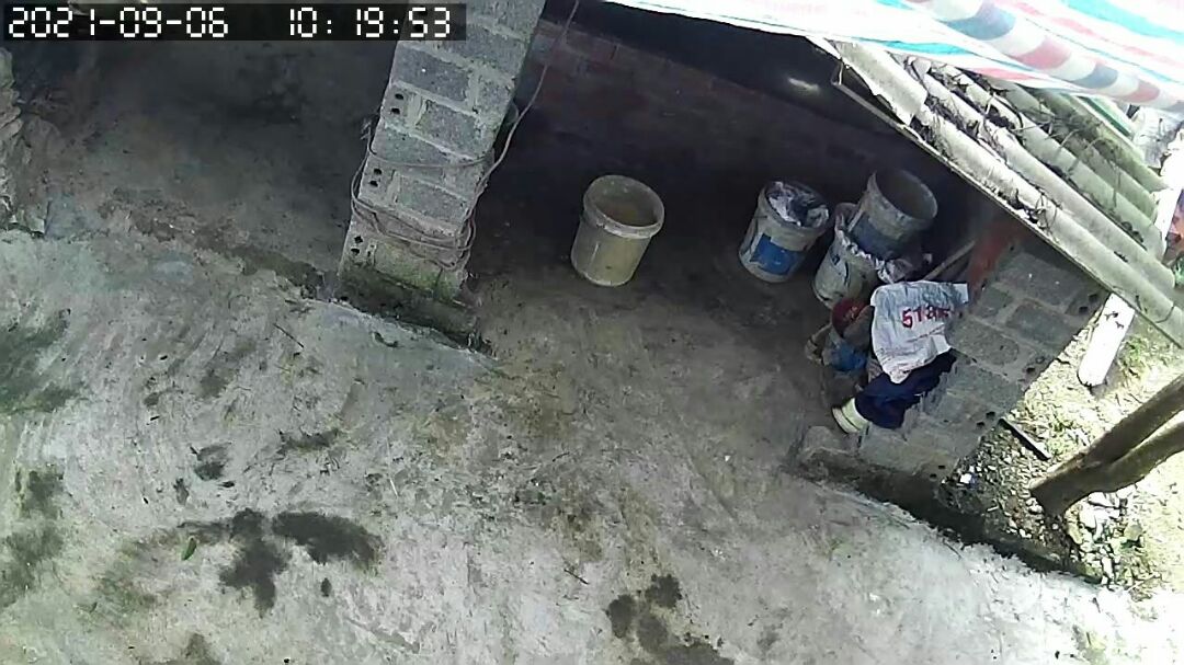 kiêm tra ko đung chủng loai lấy tem dán che đi qua thât vọng với sản p