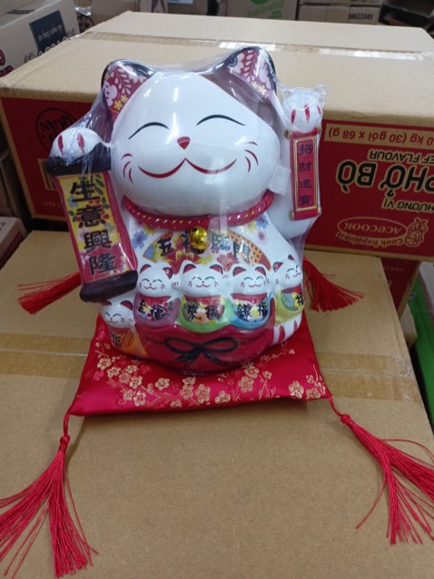 Đặt hôm trước hôm sau đã có hàng rồi. Shop tư vấn nhiệt tình dễ thương. 10 điểm cho shop ạ