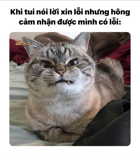 Dear user, 

Please find the Daily Stock Report of HCM as the attachment.

Regards