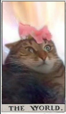 Sách nhìn bên ngoài khá đẹp, đóng gói chưa cẩn thận lắm, mình mua tặng bạn nên chưa biết chất lượng bên trong như nào