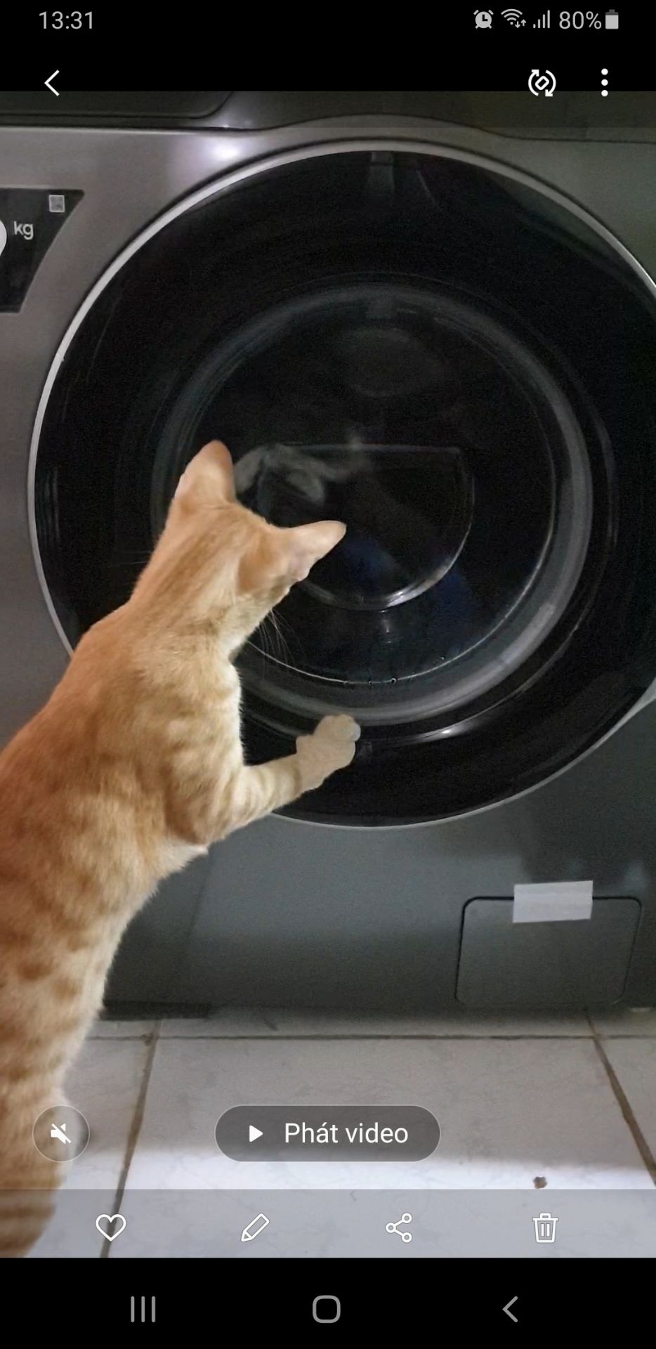 máy giặc sạch, ko bị kéo giãn đồ như cửa trên. có giặc nc nóng khử khuẩn cho đồ cần thiết. nhiều chế độ giặc. ko cần đế nếu không gian ko bị ướt phía dưới. giặc ko ồn. chỉ có ồn xíu lúc mới mở máy.