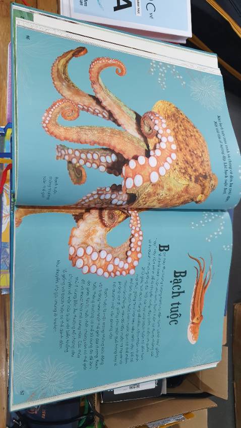 Sách chất lượng, bìa cứng rất chắc chắn, hình ảnh đẹp, giấy in láng mịn. 
Chỉ tiếc là nội dung hơi sơ sài, quá đơn điệu.