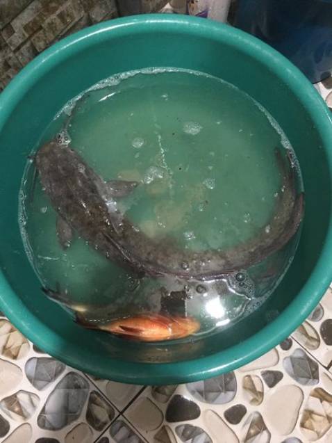 Chất lượng sản phẩm ok shop nhiệt tình