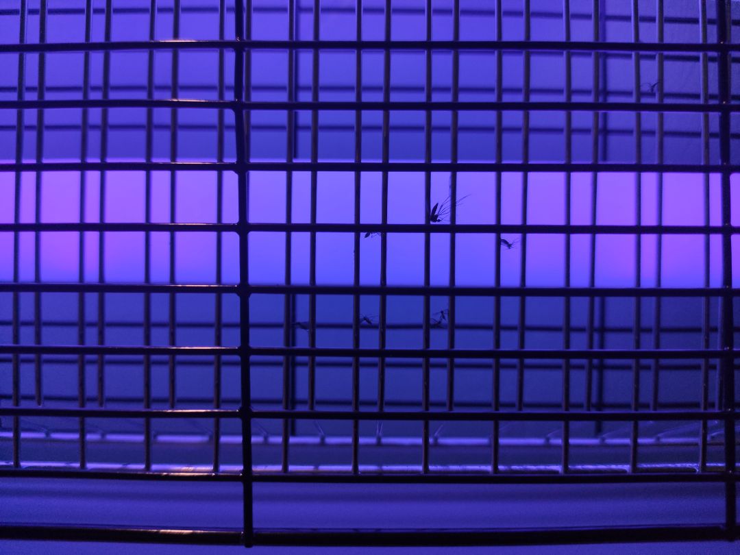 Giao hàng cực nhanh, cắm xài thử 30' tiêu diệt dc hơn chục em, con to nó nổ to giật mình luôn, con nhỏ chỏ dính vào thôi. Hài lòng ?