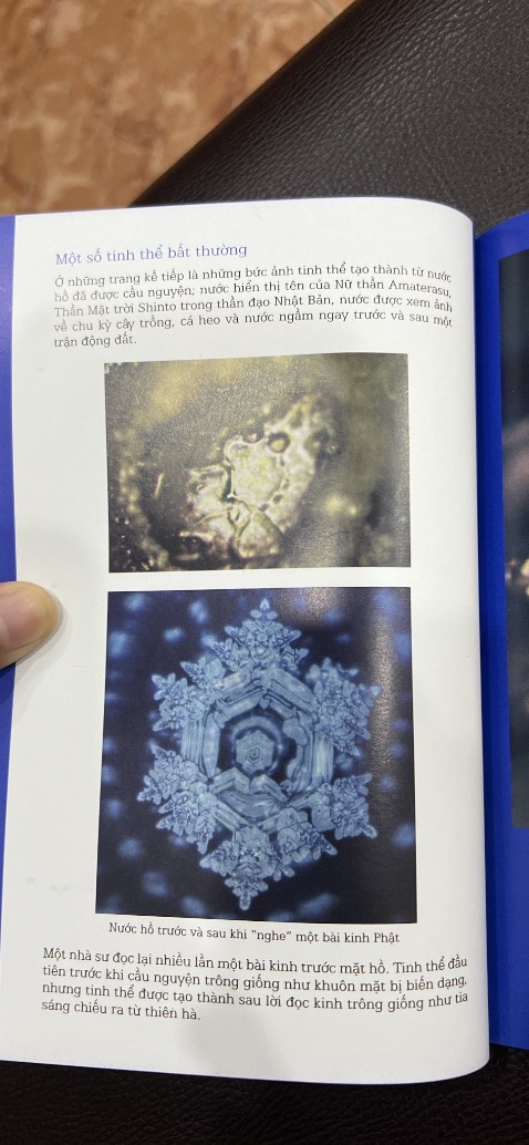 Hình ảnh đẹp, quyển nhỏ nhưng chữ tương đối to dễ đọc. Nội dung thú vị, trình bày nghiên cứu của tác giả, đôi khi hơi dài dòng xíu nhưng chấp nhận được vì ngôn từ dễ hiểu, không mang tính học thuật. Đọc xong để biết thêm yêu sự sống và những thứ tạo nên cuộc sống cũng như tạo nên chúng ta ^^ Biết ăn - Biết uống và Biết trở về với tâm thức