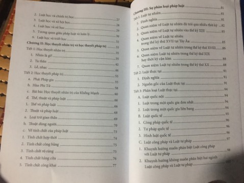 Nội dung tuy sơ lược nhưng rất đủ ý và dễ hiểu. Tuy tác giả nói rằng sách viết cho người ngoài nghề (luật) nhưng đối với mình, nó là một quyển đại cương độc đáo, phân tích và so sánh rất nhiều nguồn từ các tư liệu luật học kinh điển. Sinh viên luật càng nên đọc cuốn này.