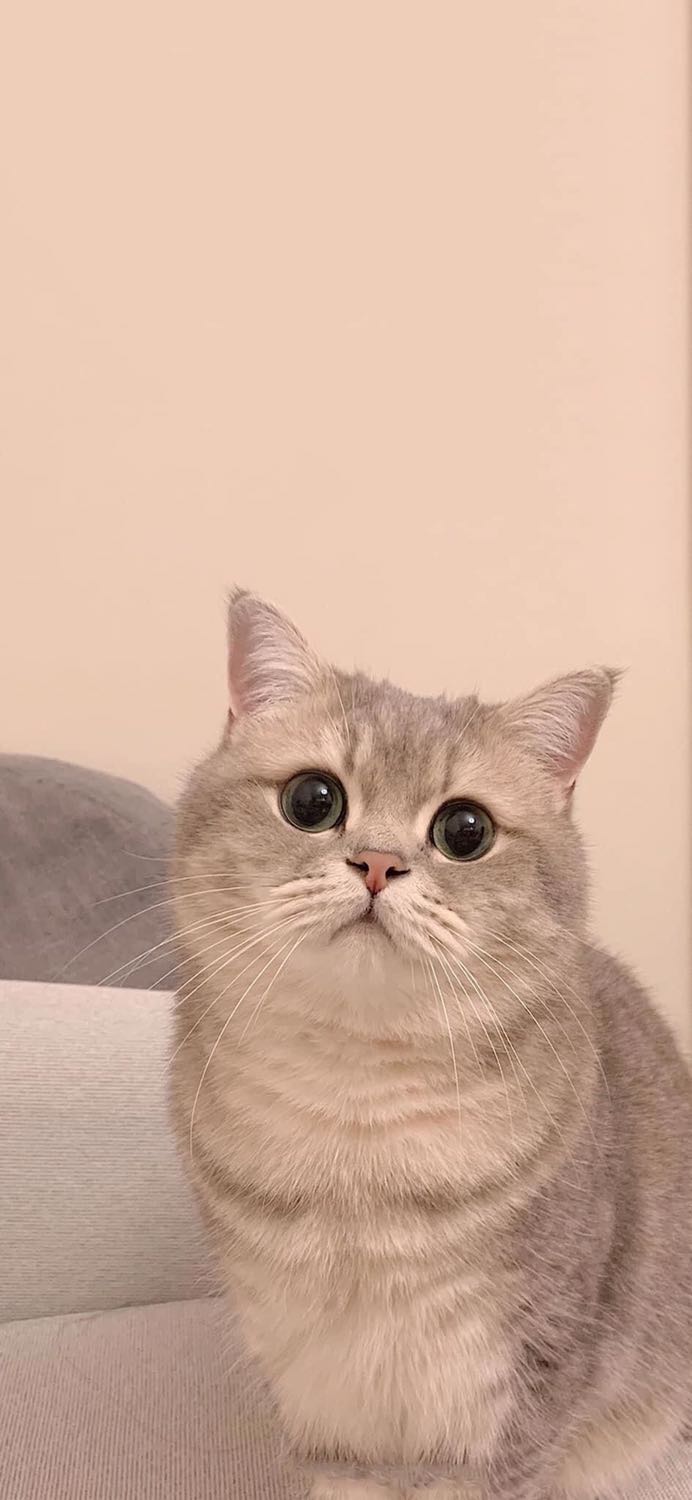 Sản phẩm rất tốt, mỗi tội giấy hơi có mùi nhưng không sao,không quan trọng lắm