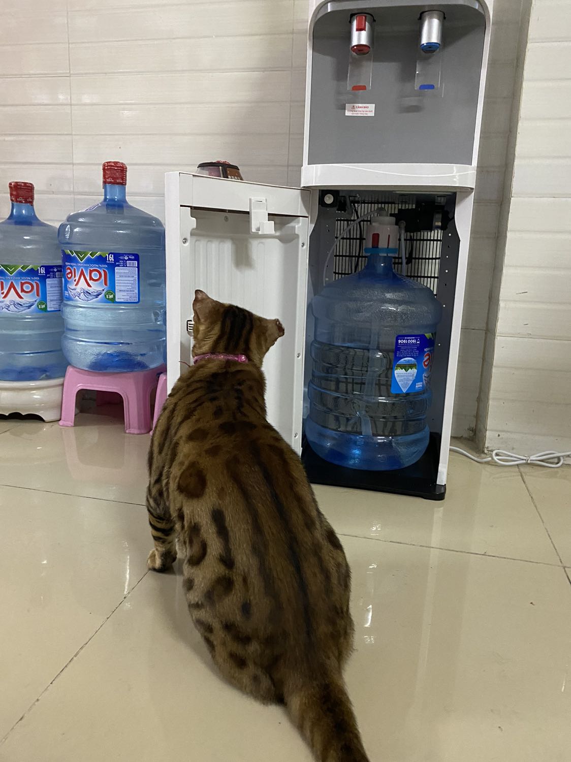 Máy nhỏ gọn, bình chứa nước để ngay bên trong ngăn chứa bên dưới.